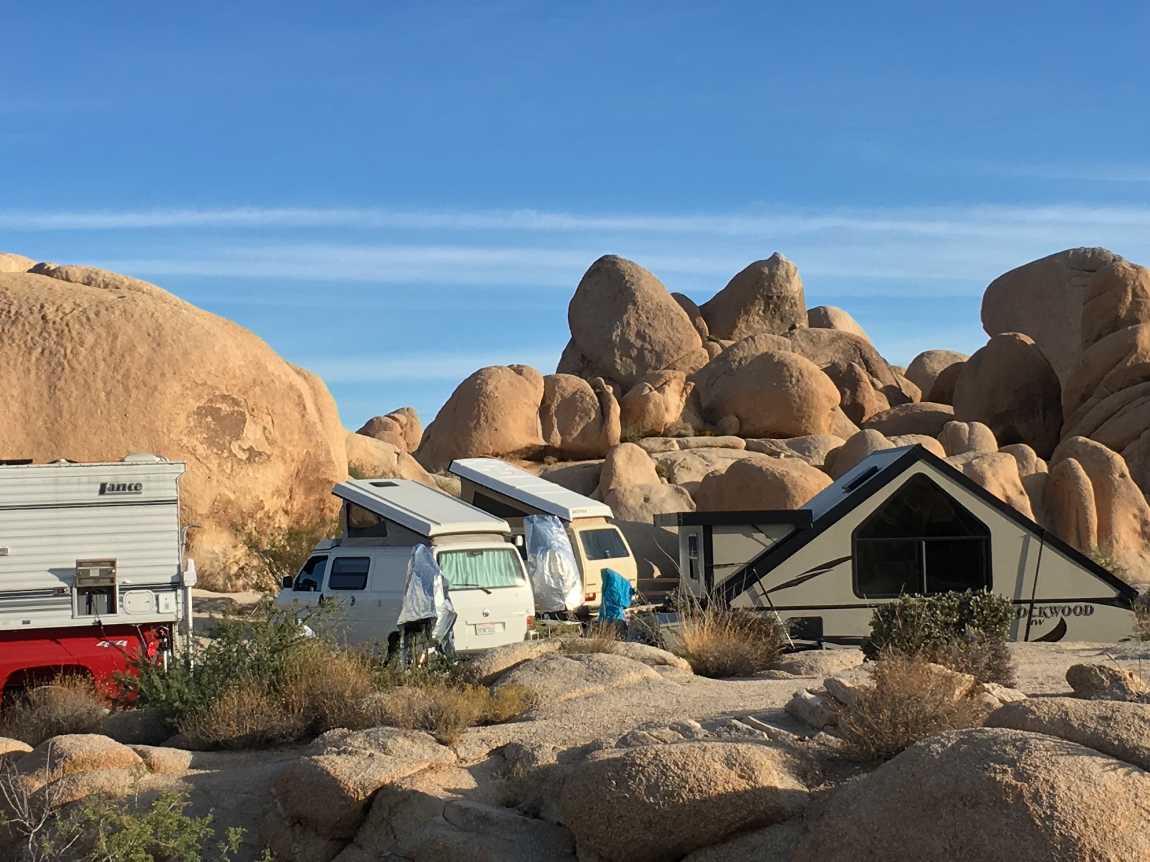 Joshua Tree