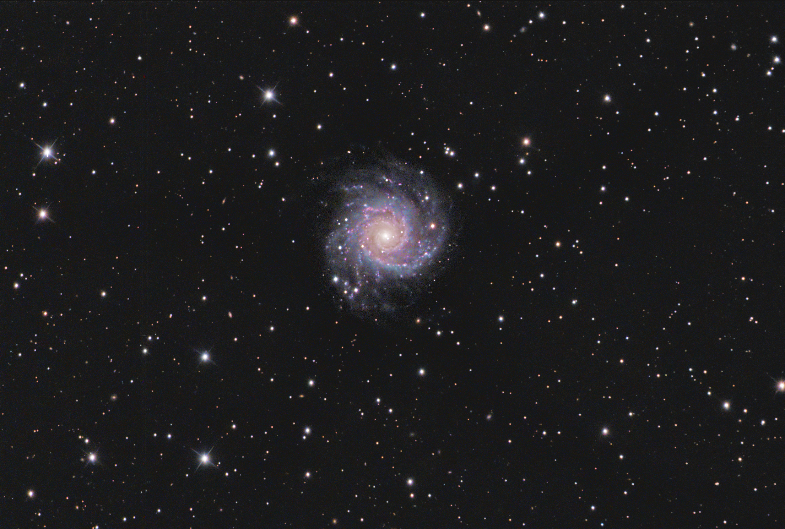 Spiral Galaxy M74