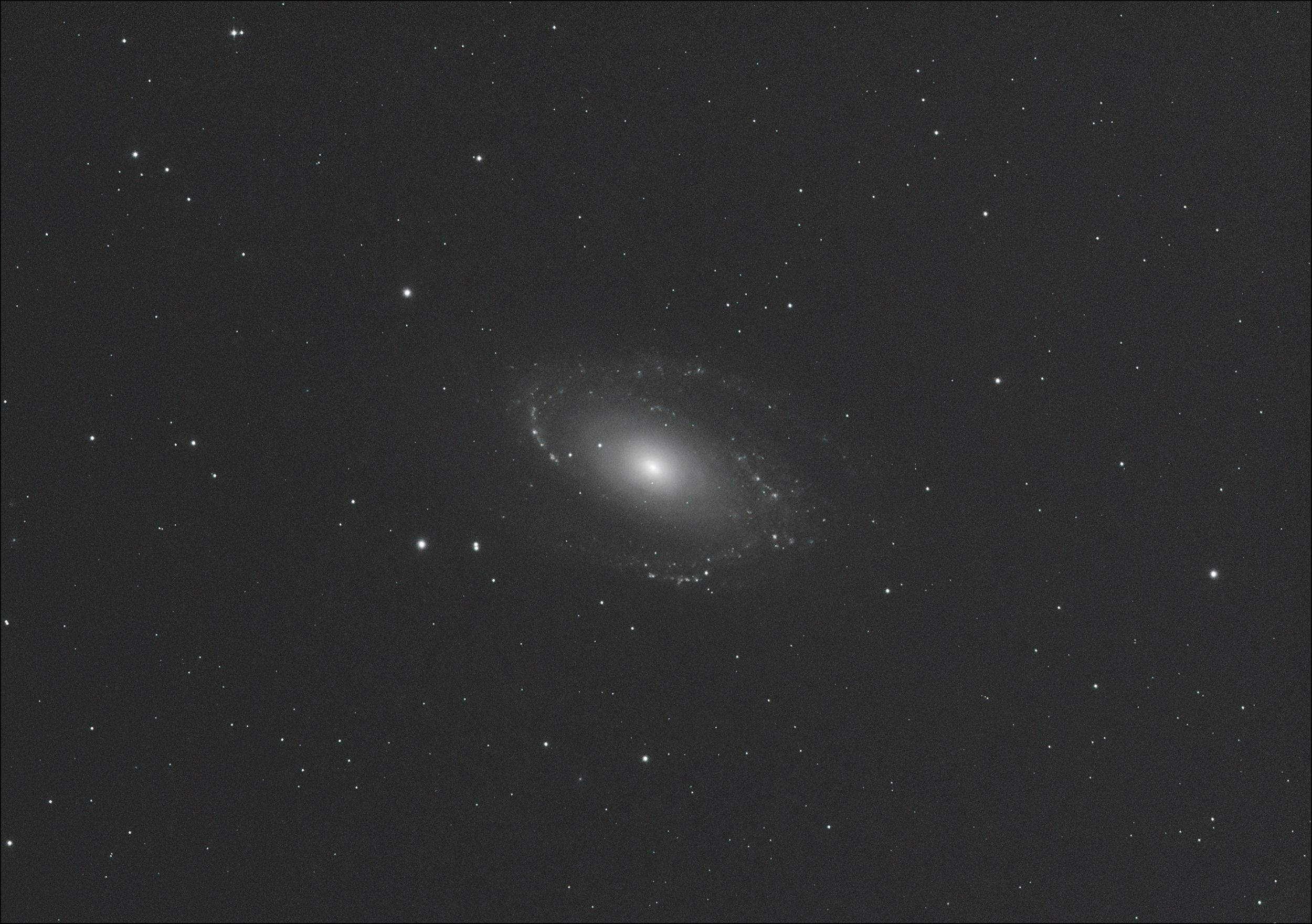 M81