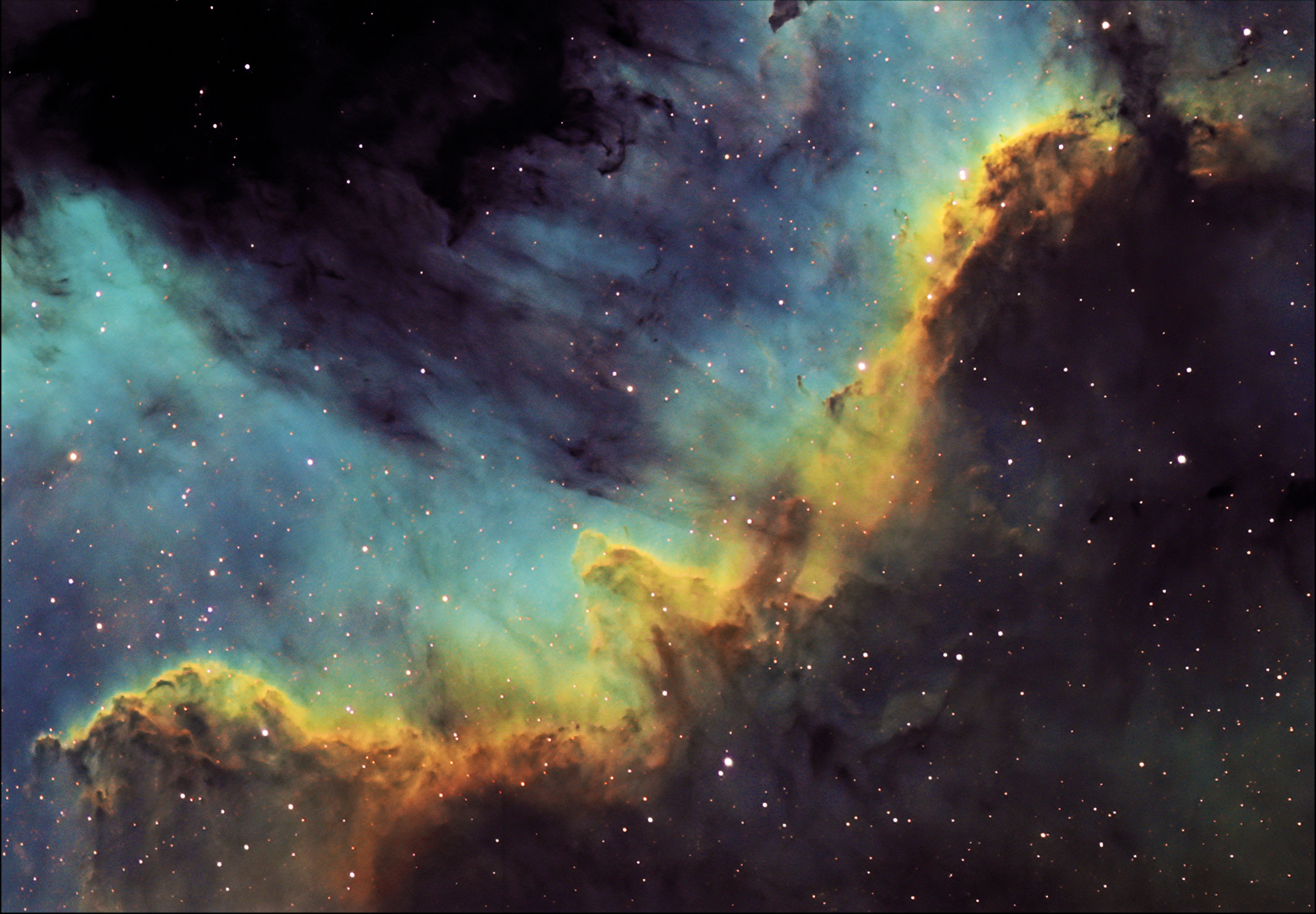 Cygnus wall