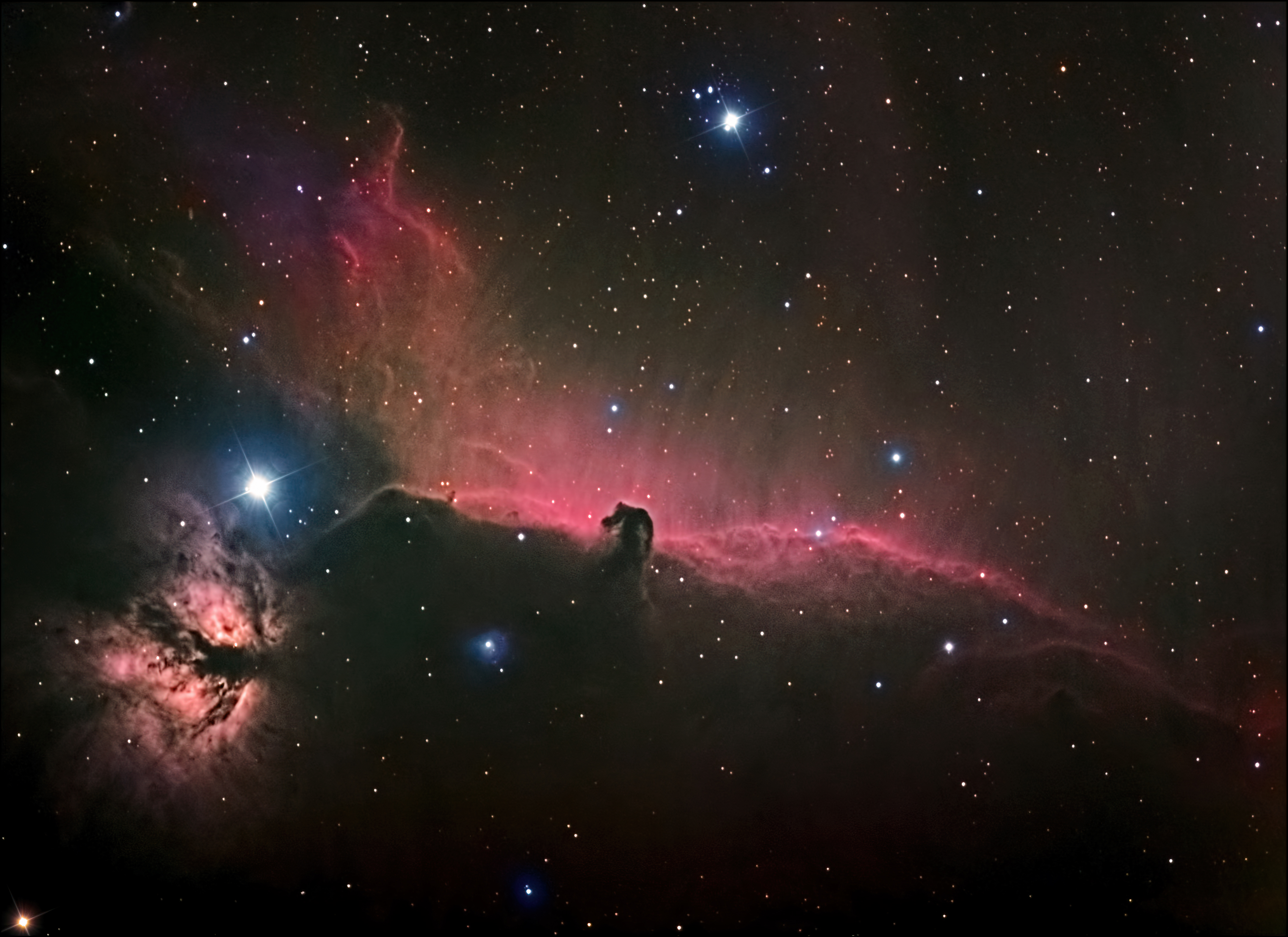 Horsehead