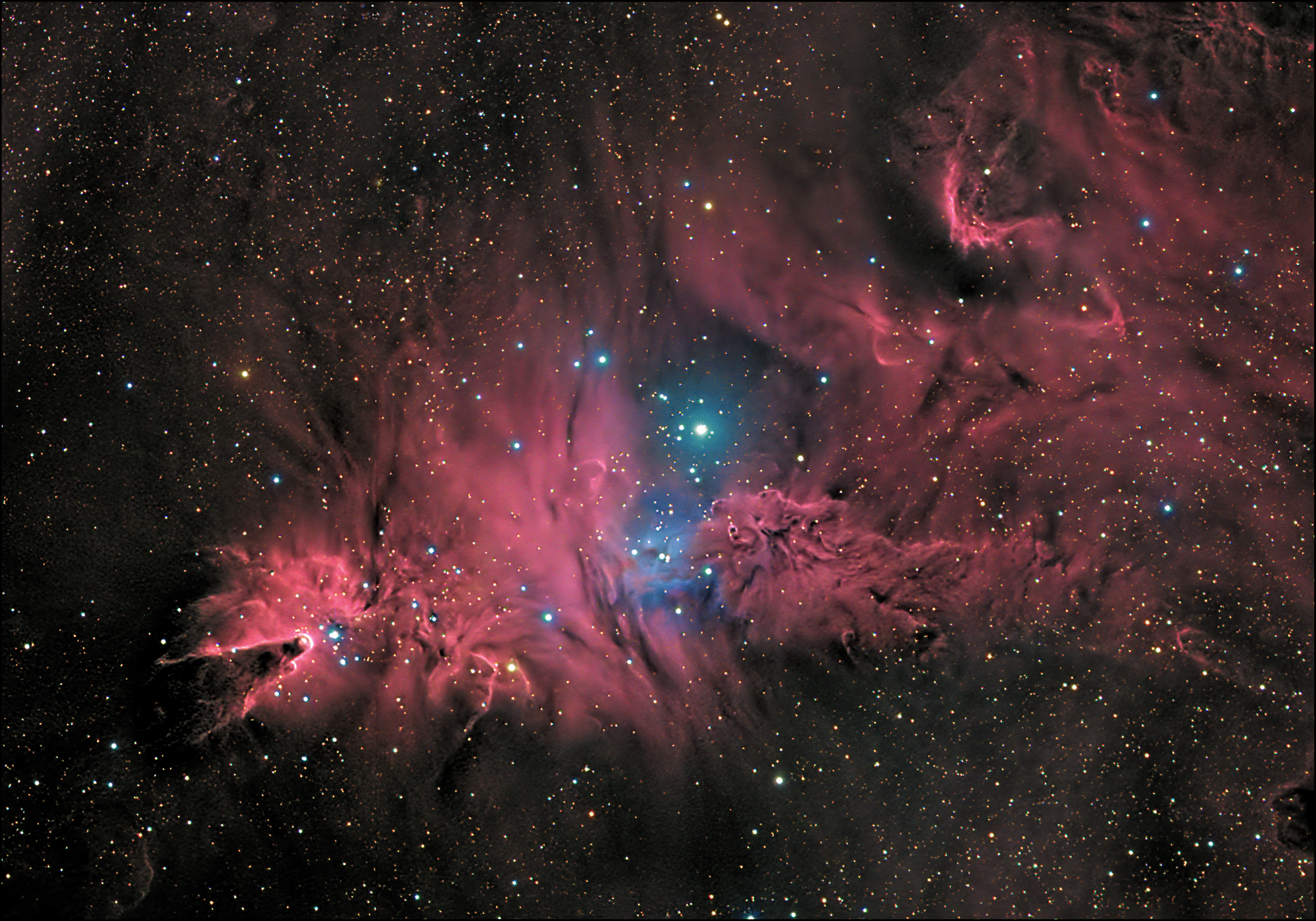 NGC 2264