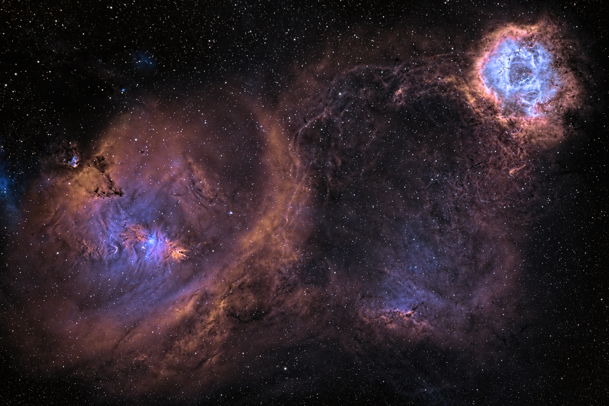 Rosette-Cone widefield