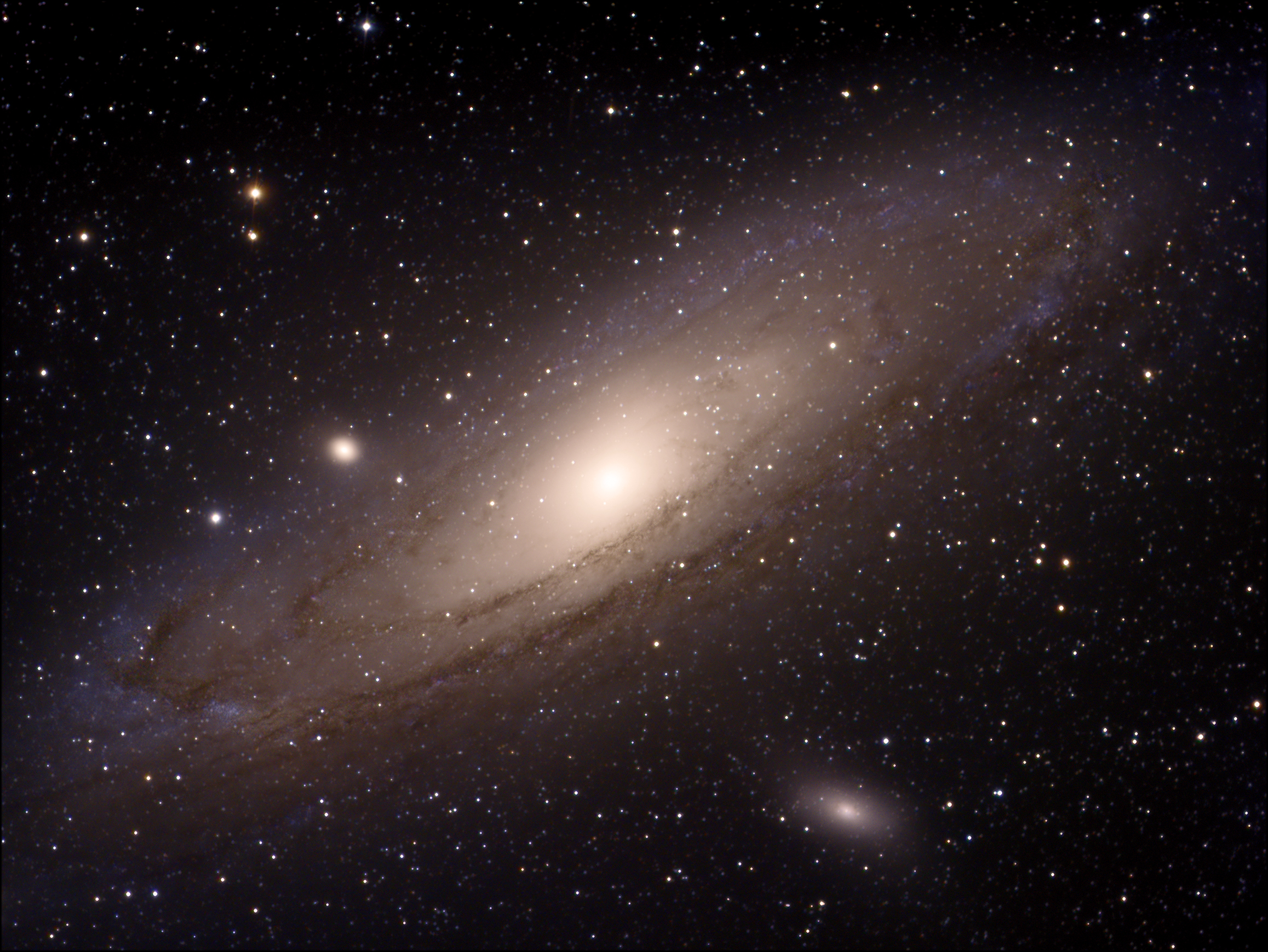 M31