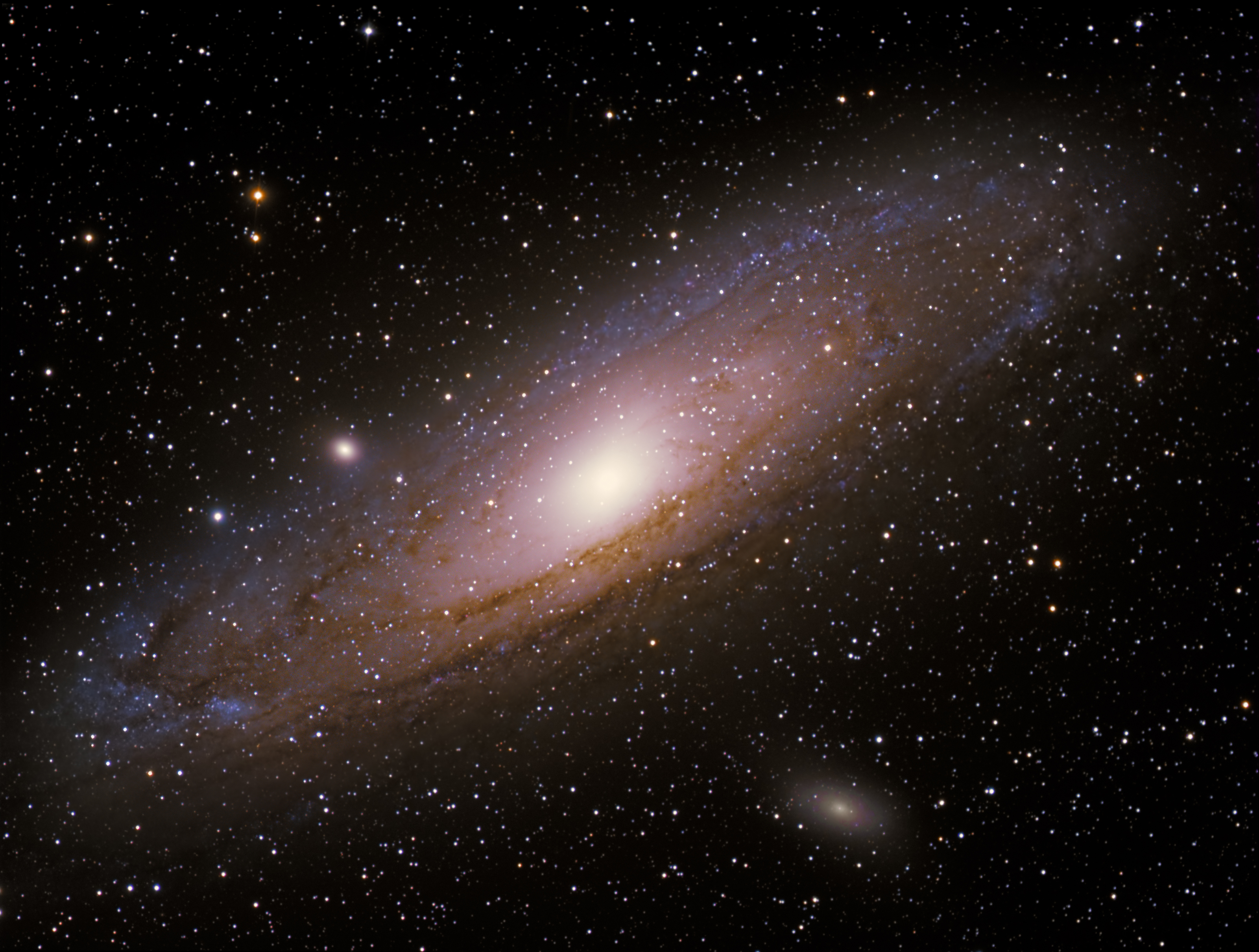 M31