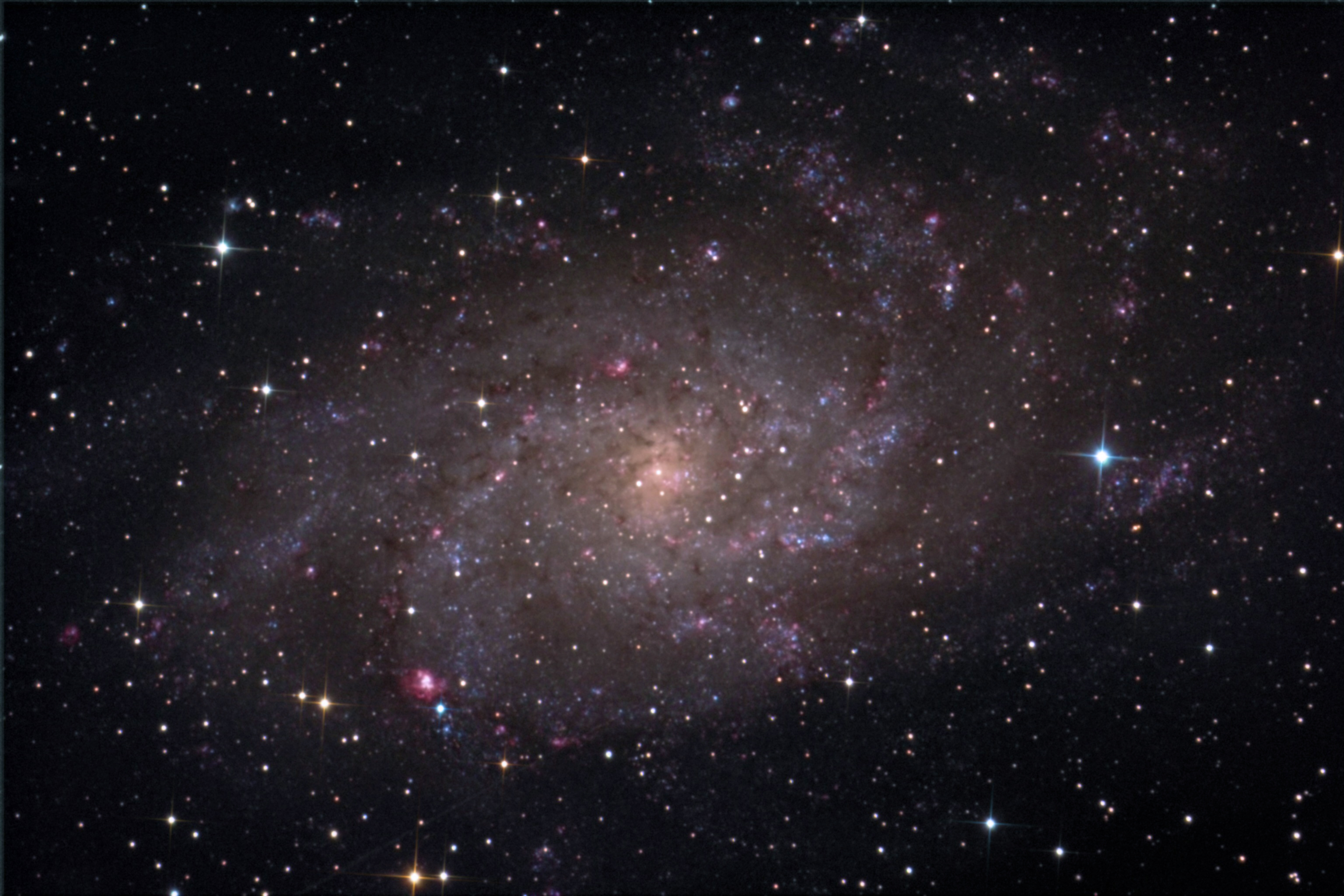 M33