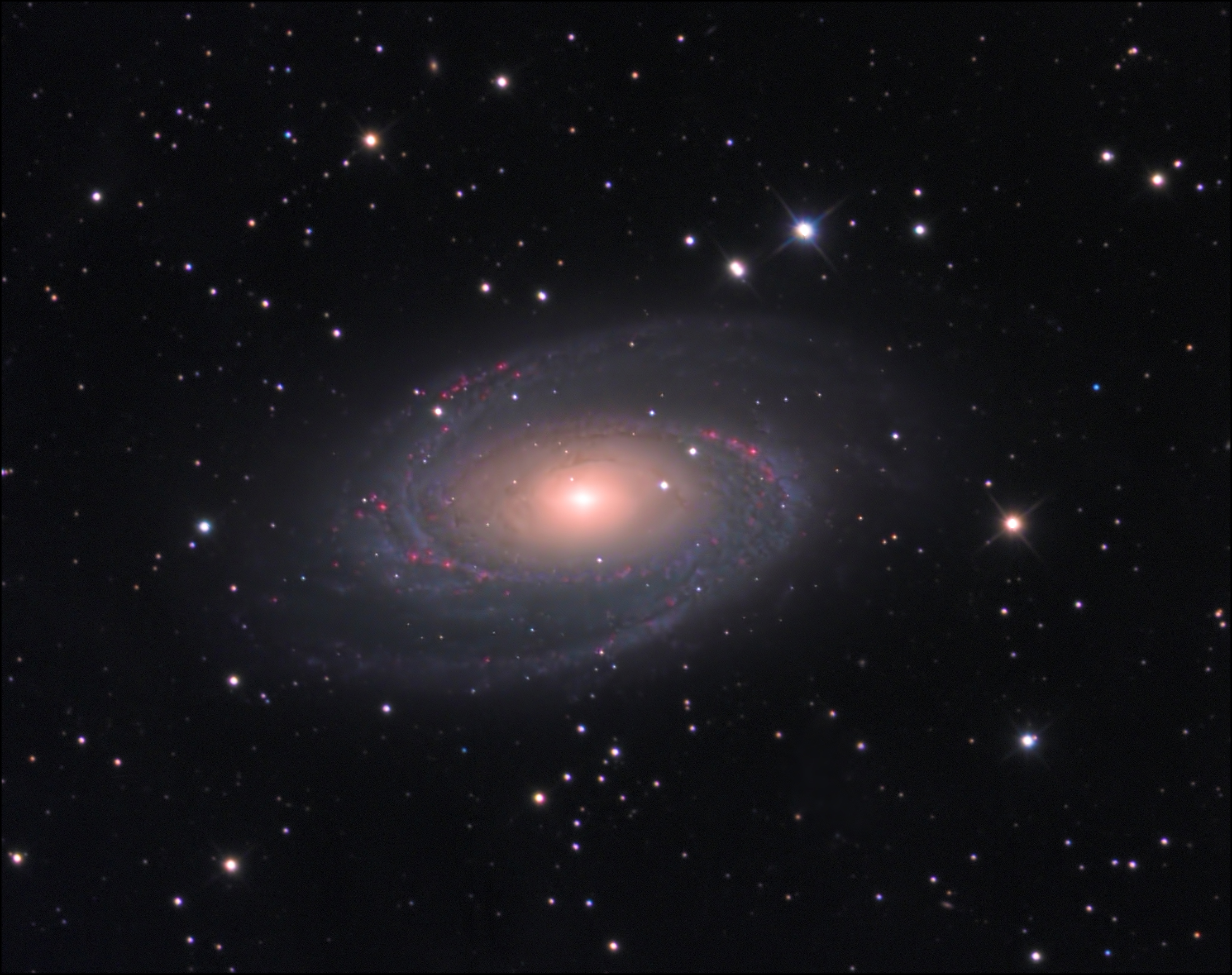 M81