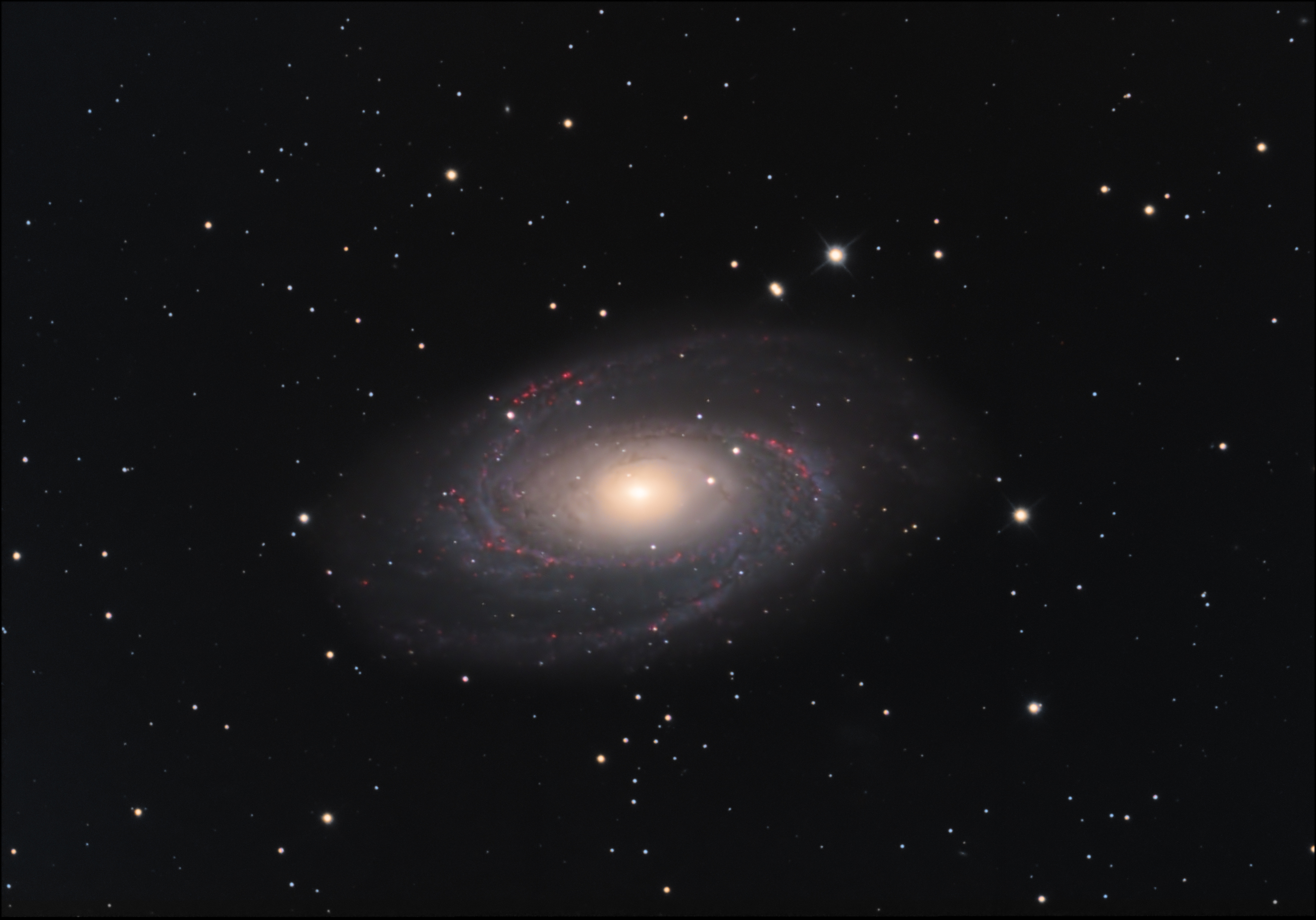 M81