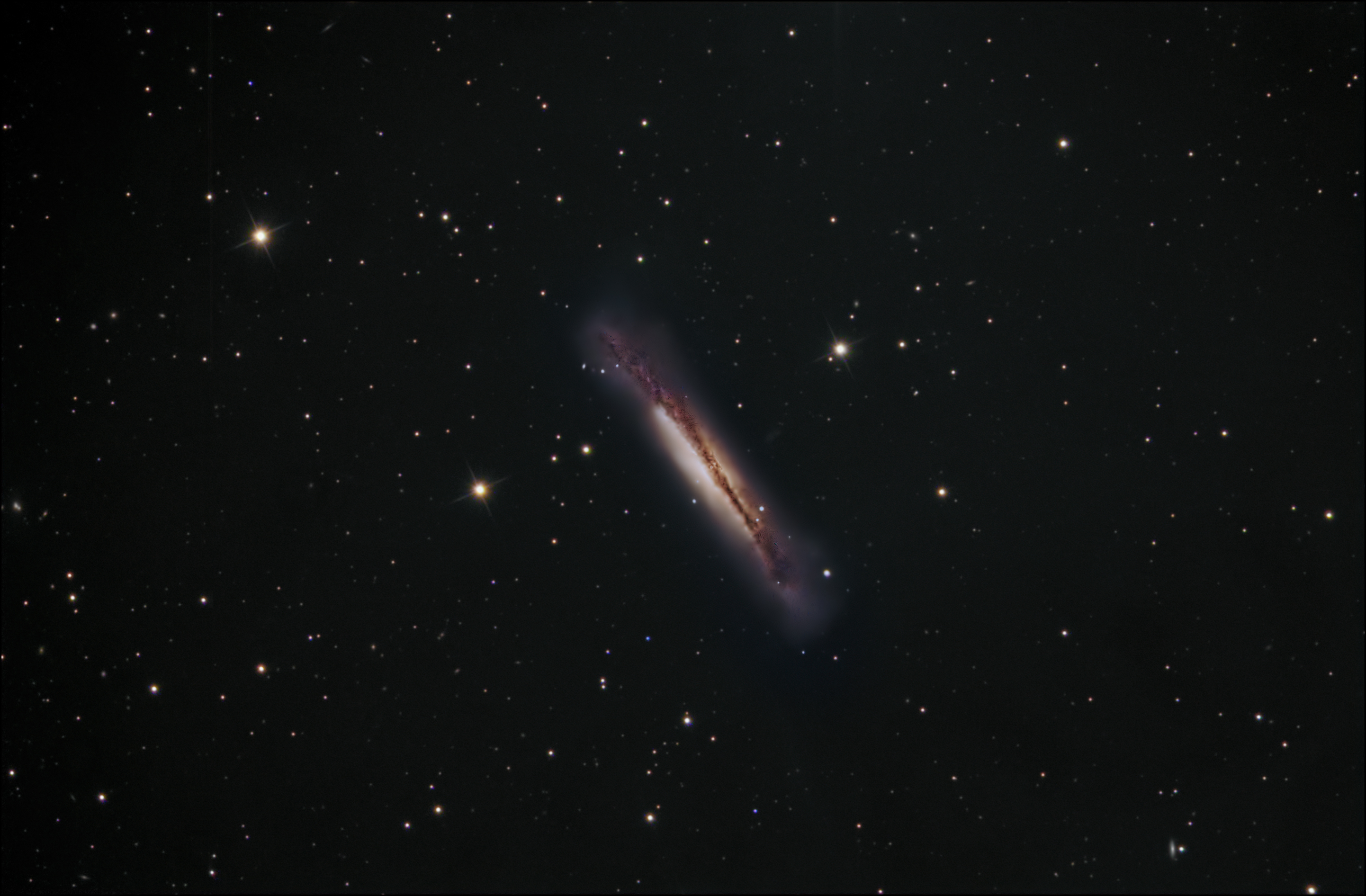 NGC3628