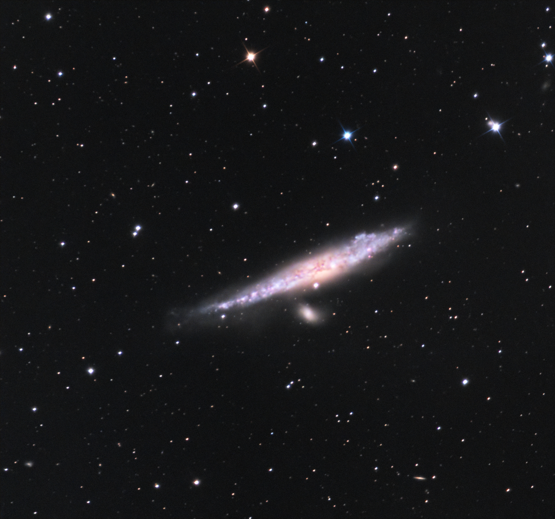 NGC4631