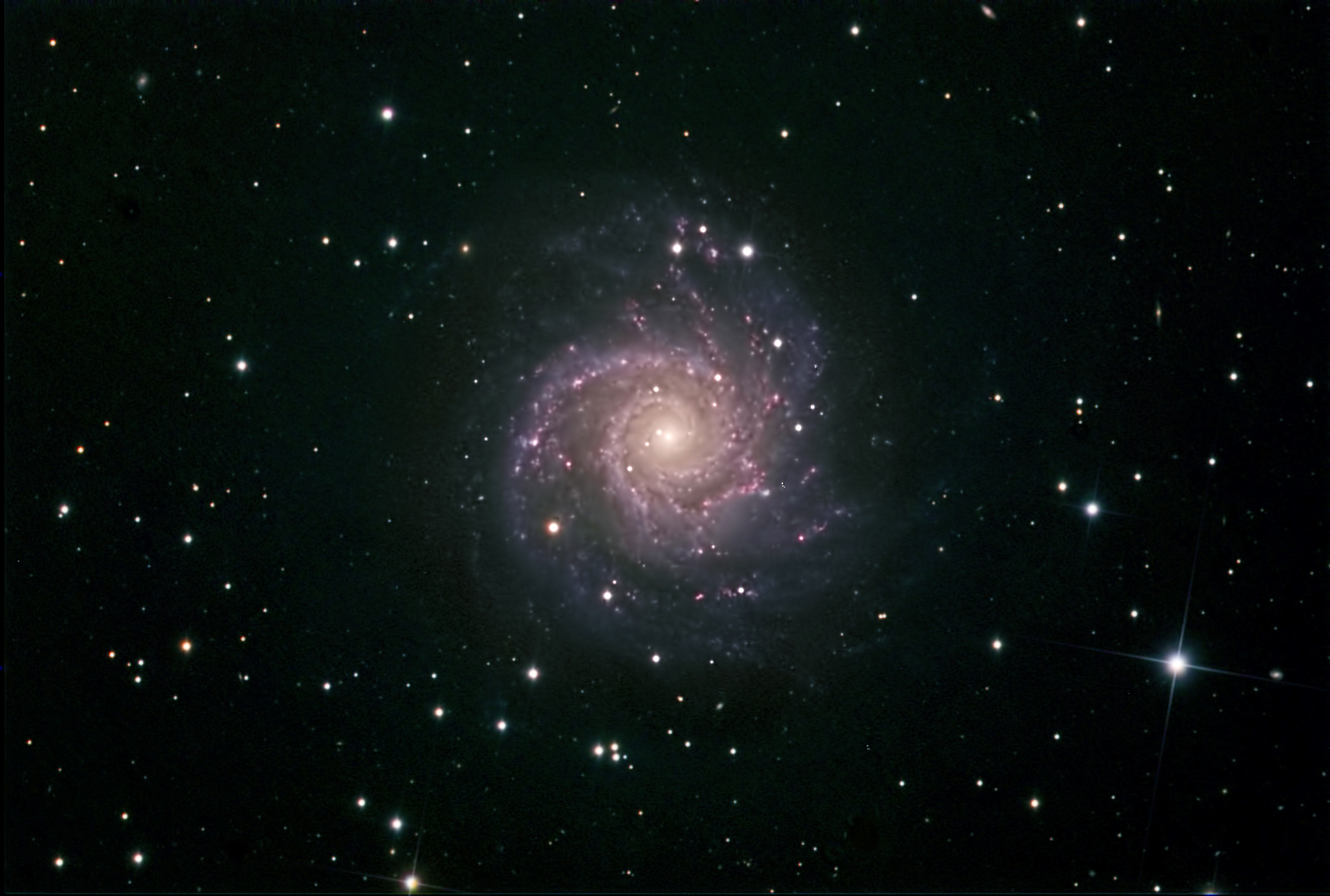 M74