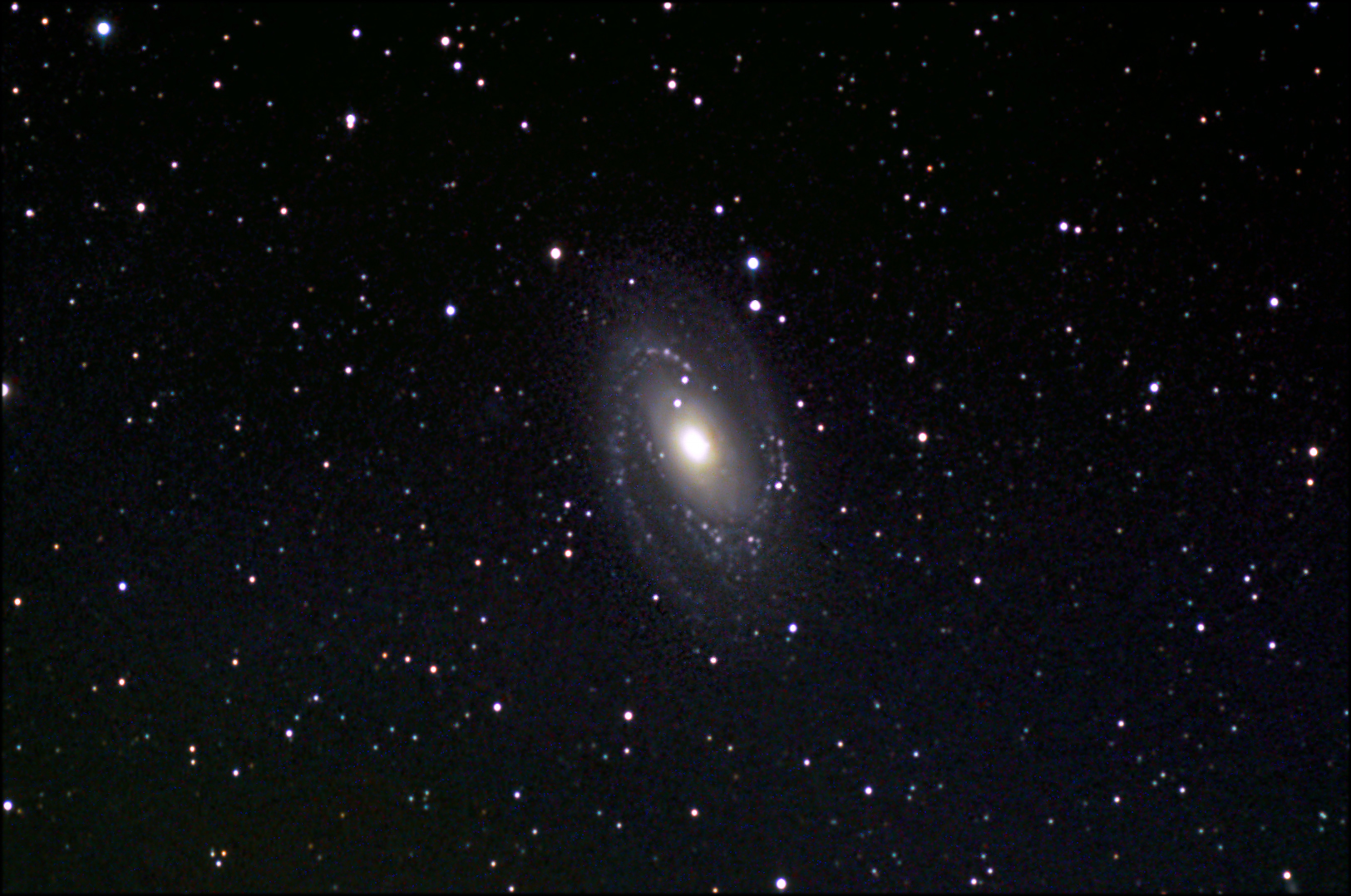 M81