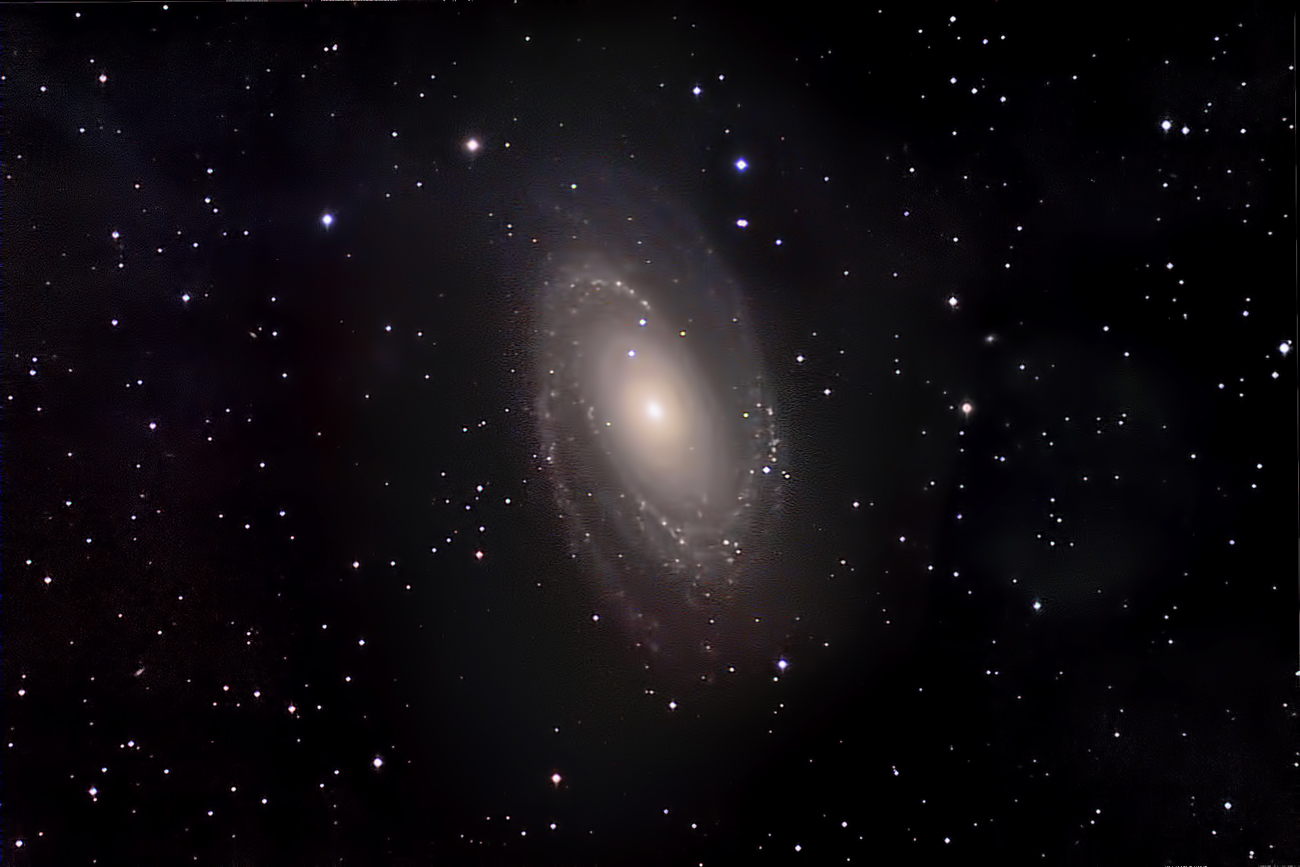 M81