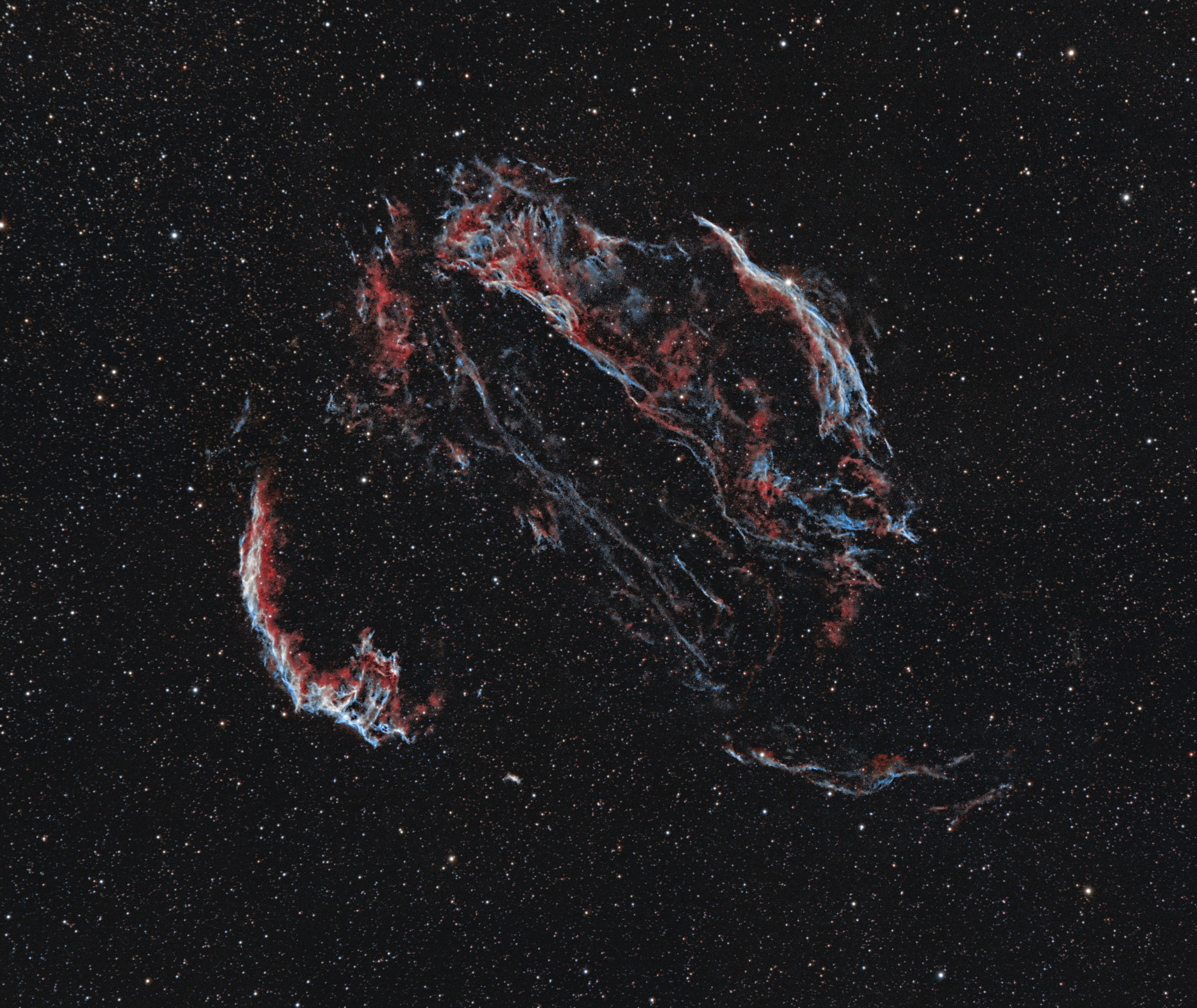 Cygnus Loop