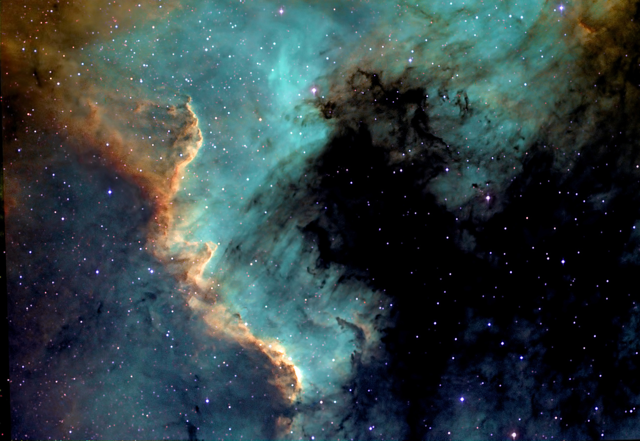 Cygnus Wall