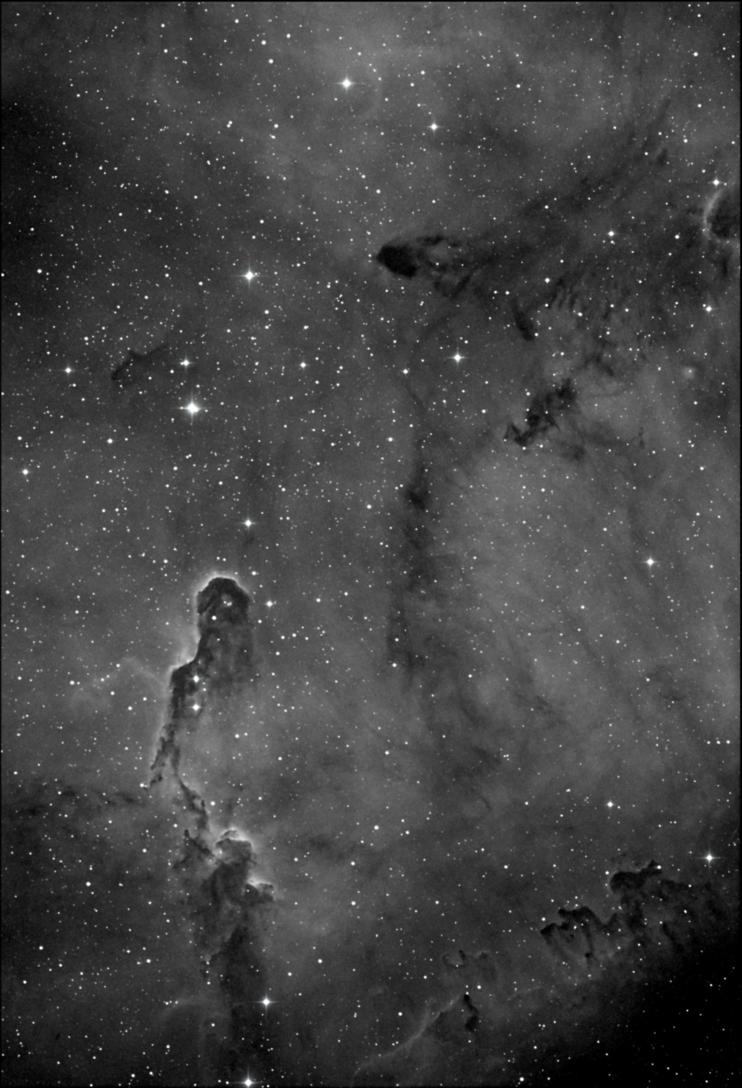 IC1396