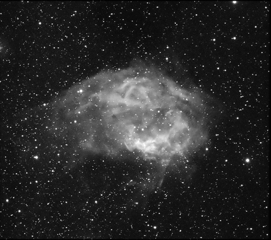 Sharpless 261 (Lower's Nebula)